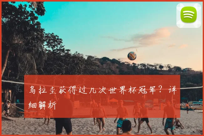 乌拉圭获得过几次世界杯冠军？详细解析