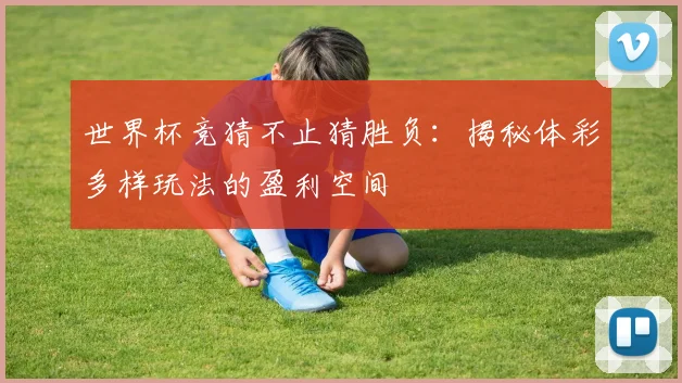 世界杯竞猜不止猜胜负：揭秘体彩多样玩法的盈利空间