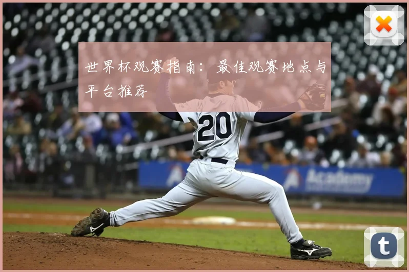 世界杯观赛指南：最佳观赛地点与平台推荐